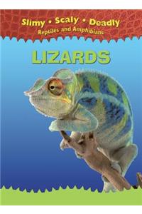 Lizards