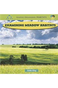 Examining Meadow Habitats
