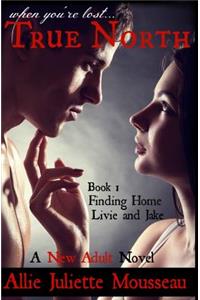 True North Book One Finding Home Livie and Jake