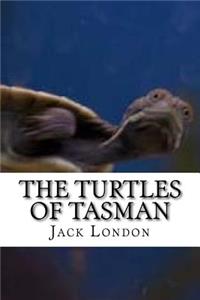The Turtles of Tasman