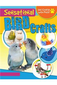 Sensational Bird Crafts