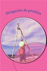 Mitigación de Pérdidas