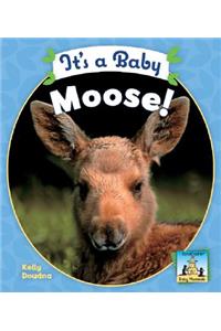 It's a Baby Moose