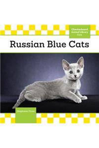 Russian Blue Cats