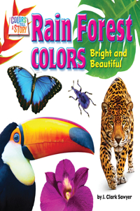 Rain Forest Colors