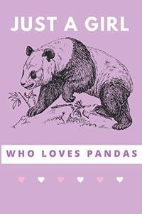 Panda gift - Panda Journal