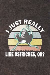 I Just Really Like Ostriches, Ok?