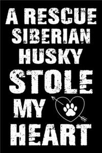 A Rescue Siberian Husky Stole My Heart