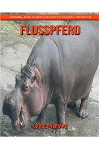 Flusspferd