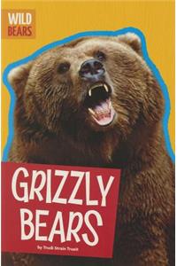 Grizzly Bears