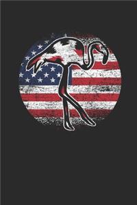 Flamingo USA