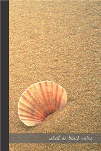 shell on beach notes