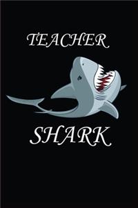 Teacher Shark