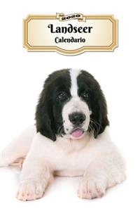 2020 Landseer Calendario