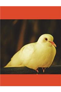 Bird Composition Notebook