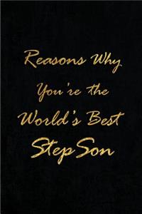 Reasons Why You're the World's Best Stepson