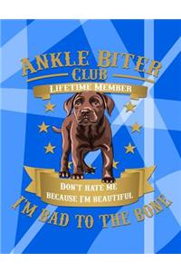 Ankle Biter Club Lifetime Member: Don't Hate Me Because I'm Beautiful, I'm Bad to the Bone - Chocolate Labrador Retriever Puppy