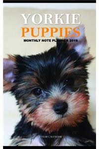 Yorkie Puppies Monthly Note Planner 2019 1 Year Calendar