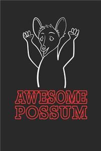 Awesome Possum