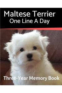 Maltese Terrier - One Line a Day