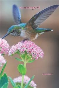 Hummingbird