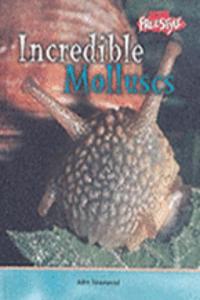Incredible Creatures: Molluscs Hardback