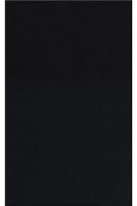 Essays on Game Theory