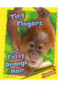 Tiny Fingers and Fuzzy Orange Hair (Orangutan)