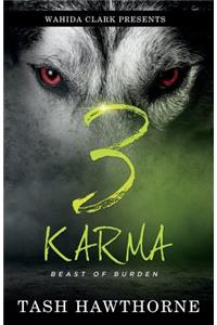 Karma 3