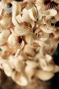 Cool Hanging Mobile Made of Shells Journal