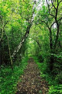 Summer Hike Through the Forest Journal