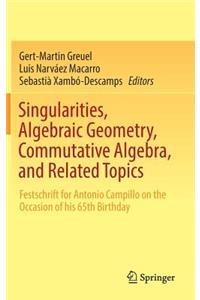 Singularities, Algebraic Geometry, Commutative Algebra, and Related Topics