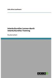 Interkulturelles Lernen durch interkulturelles Training