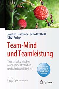 Team-Mind Und Teamleistung