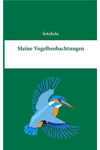 Meine Vogelbeobachtungen