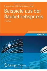 Beispiele aus der Baubetriebspraxis