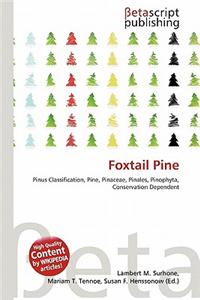 Foxtail Pine