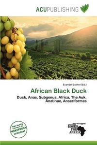 African Black Duck