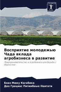 Восприятие молодежью Чада вклада агробиз