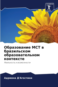 Образование МСТ в бразильском образоват