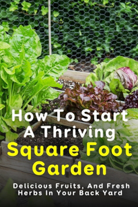 How To Start A Thriving Square Foot Garden