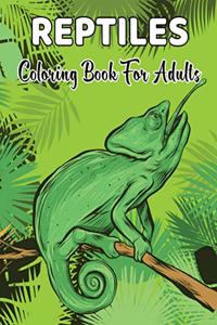 Reptiles Coloring Book For Adults