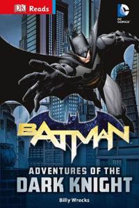 DC Comics Batman Adventures of the Dark Knight