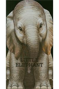 Little Elephant