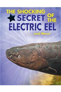 Shocking Secret of the Electric Eel...and More!