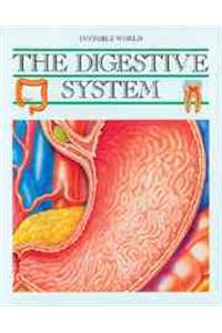 Digestive System