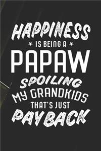 Happiness Is Being A Papaw Spoiling My Grandkids That's Just Payback
