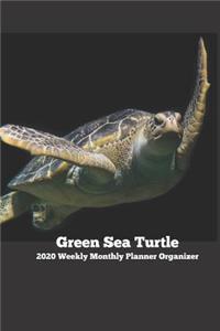 Green Sea Turtle 2020 Weekly Monthly Planner Organizer
