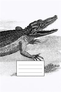 Notizbuch für Kreative