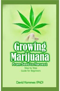 Growing Marijuana